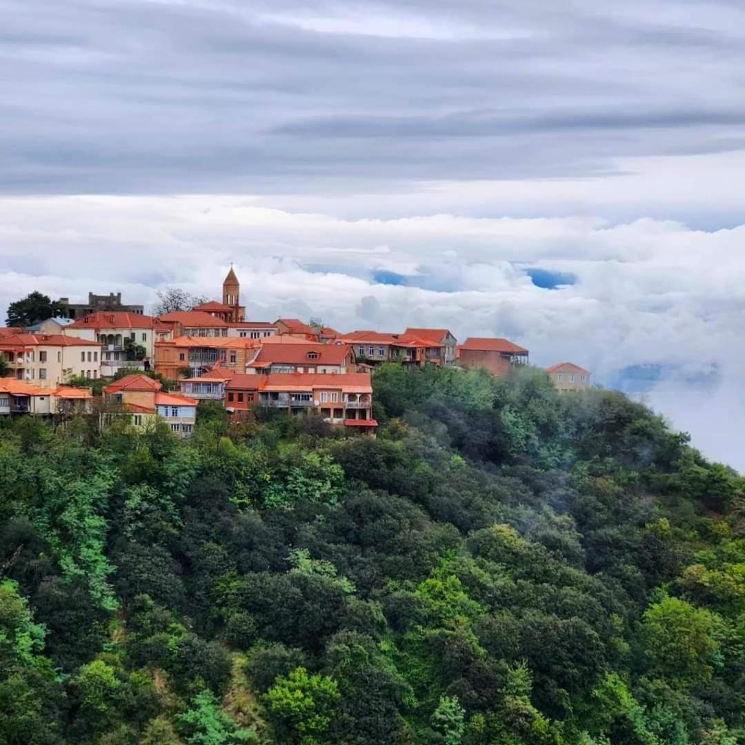 Mango Guesthouse Sighnaghi Zewnętrze zdjęcie